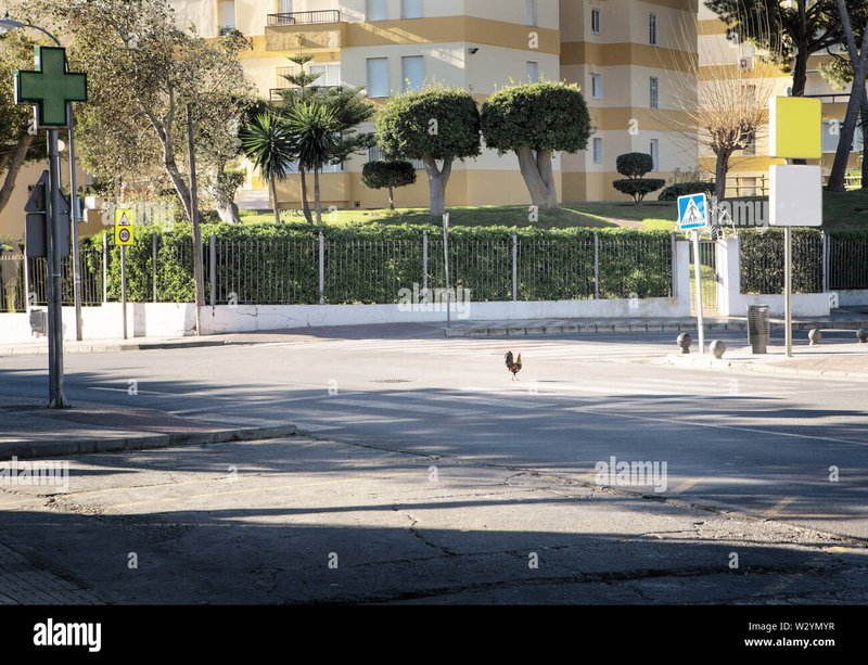 Chicken road 2 juego in Spain